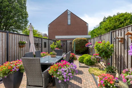Van Deinsestraat thumbnail