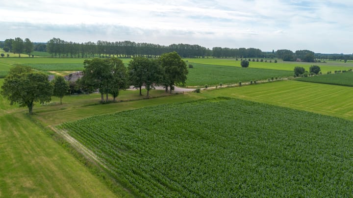Photo 2 of Twistdijk 4