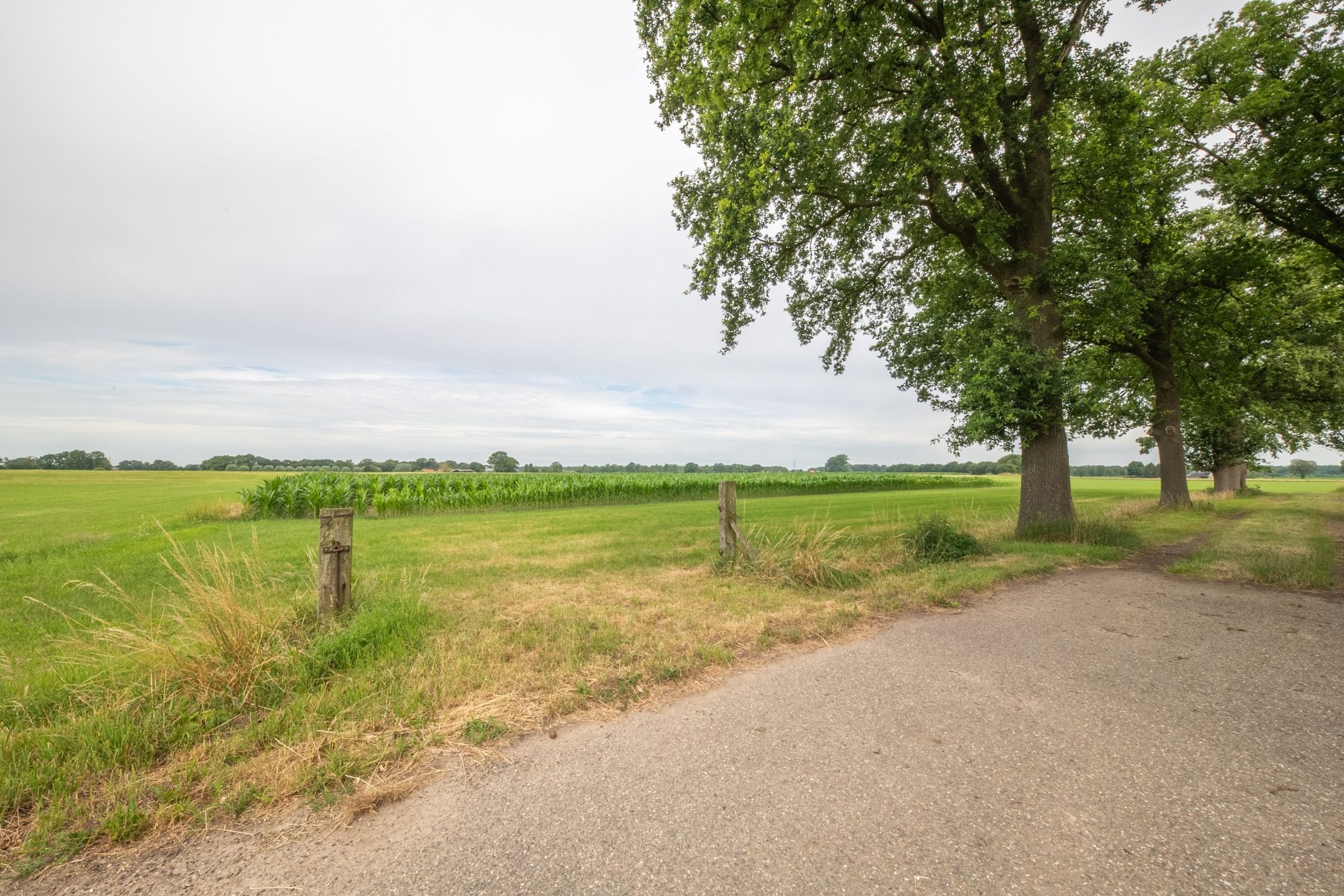 Photo 57 of Twistdijk 4