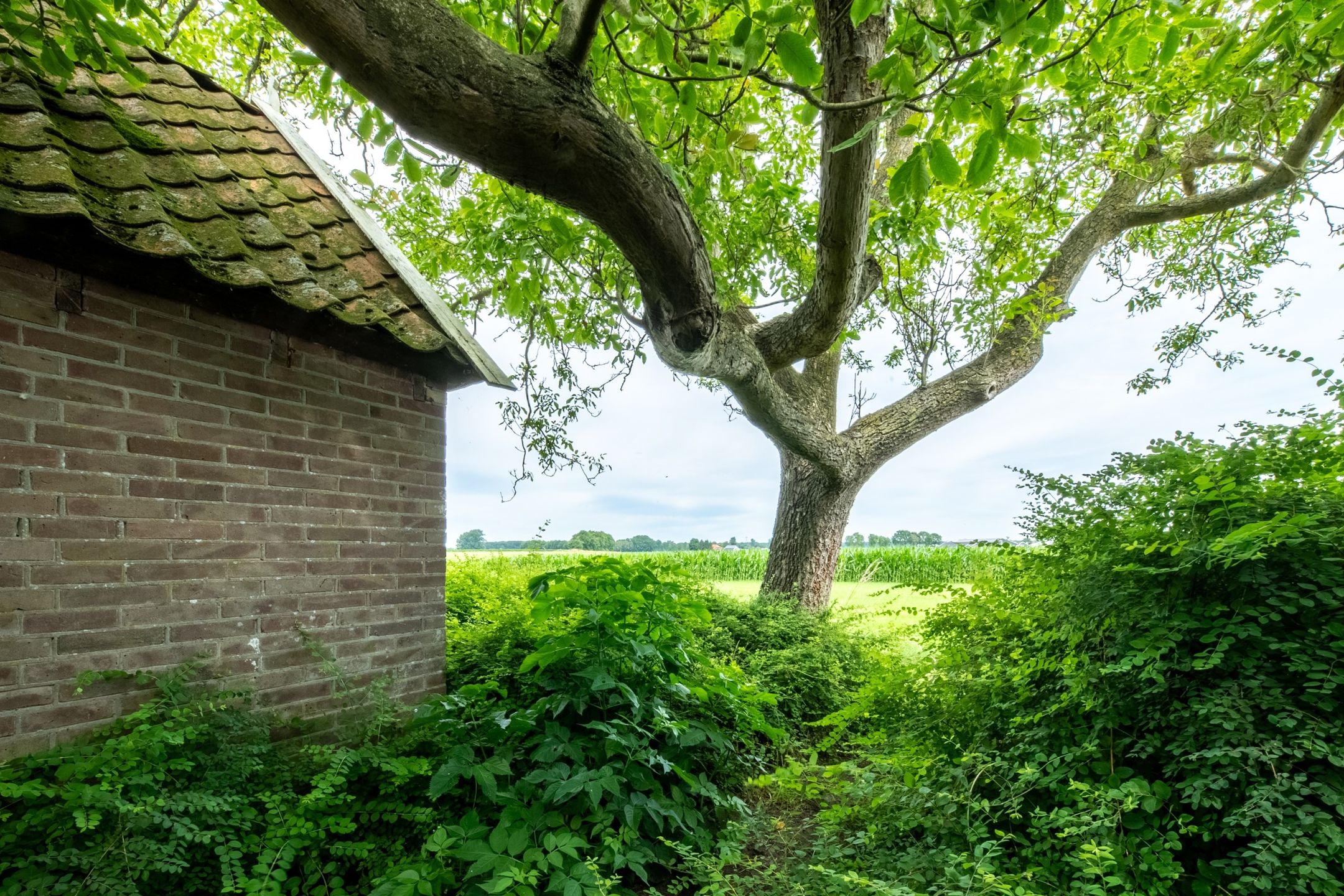 Photo 54 of Twistdijk 4