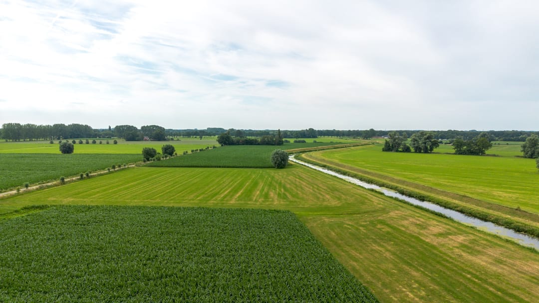 Photo 58 of Twistdijk 4