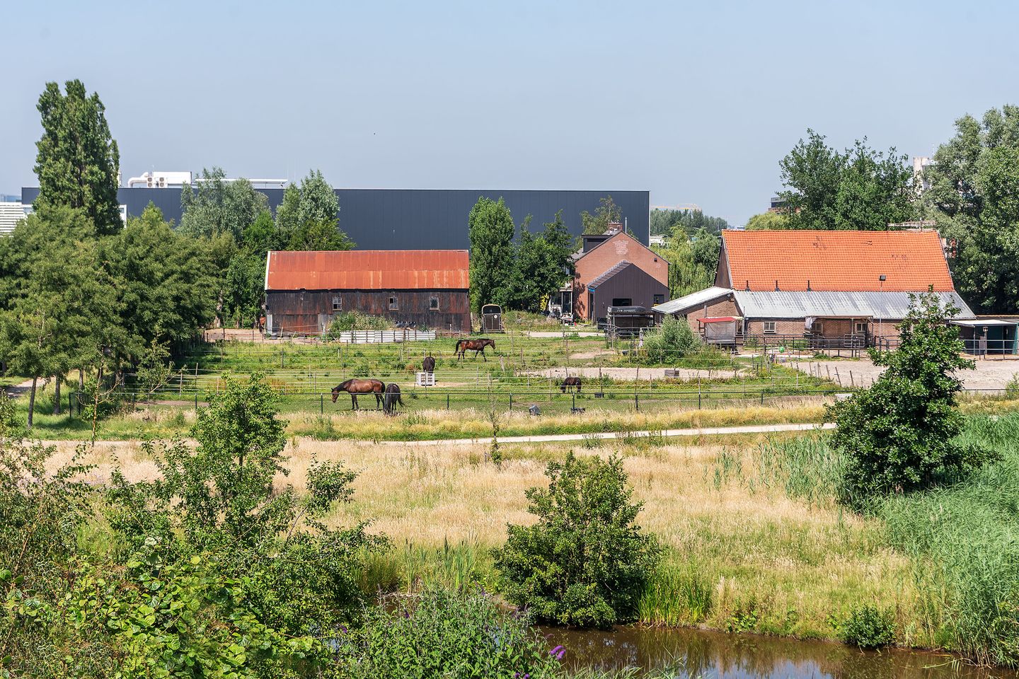 Foto 4 van Aalsmeerderdijk 347