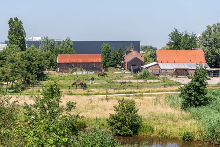 Foto 4 van Aalsmeerderdijk 347