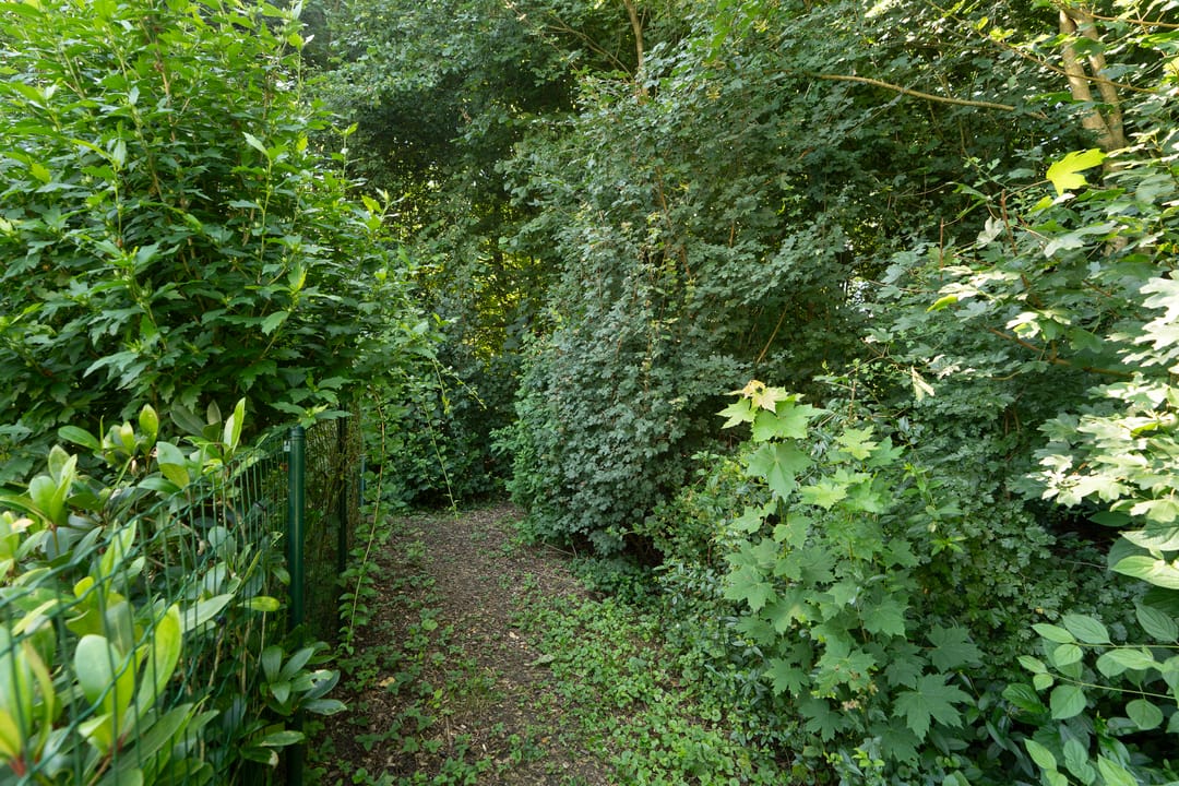 Photo 46 of Landgraafstraat 100