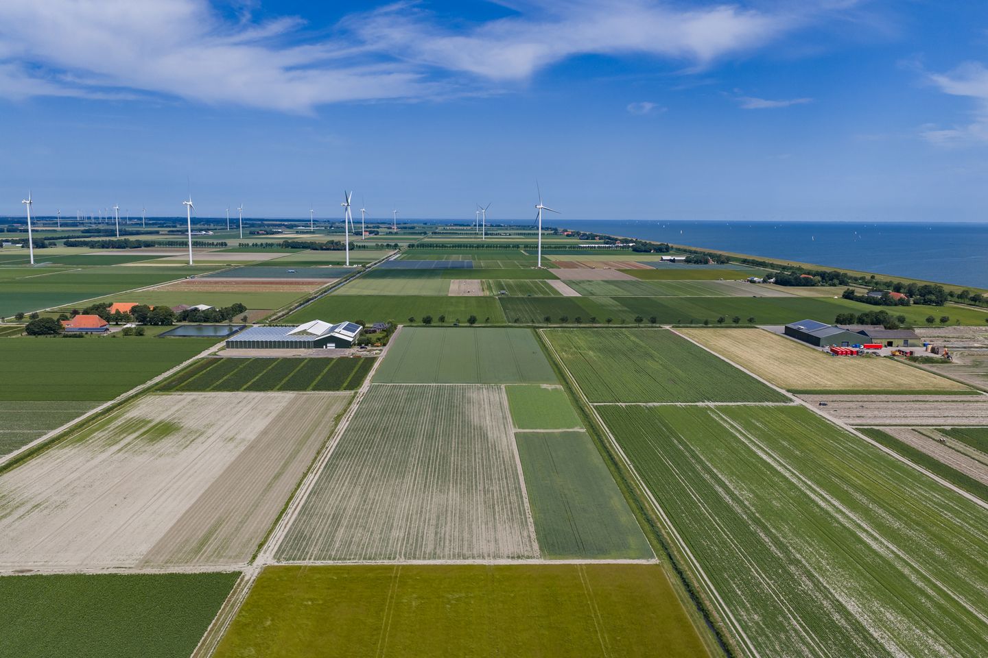 Bekijk foto 5 van Wagenpad