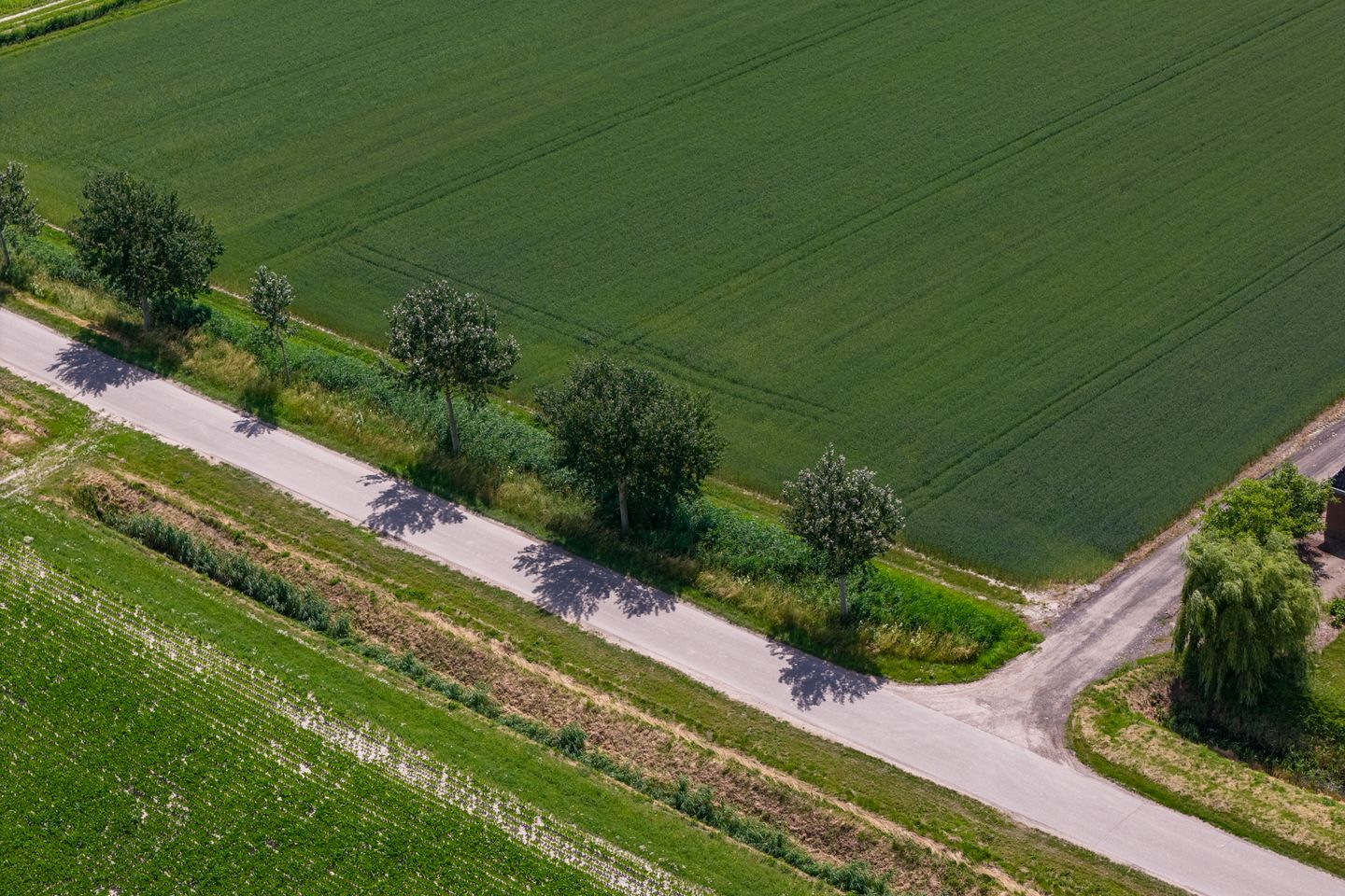 Bekijk foto 4 van Wagenpad