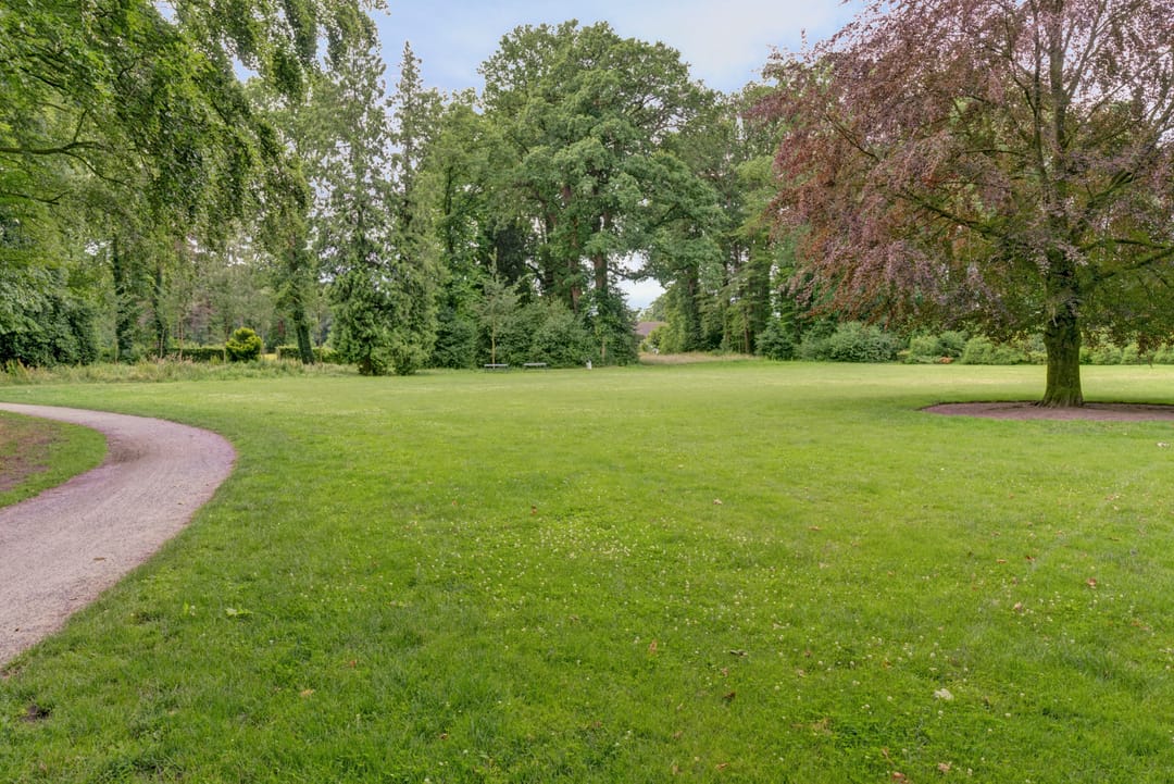 Photo 47 of Doornboomspark 1