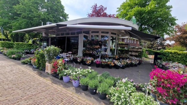 Van Zuylen van Nijeveltstraat 85