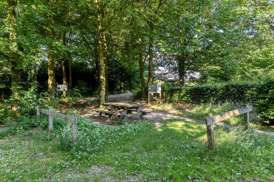 Photo 53 of Zutphensestraatweg 48