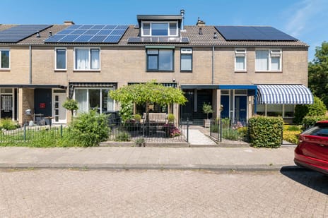 Distelstraat thumbnail