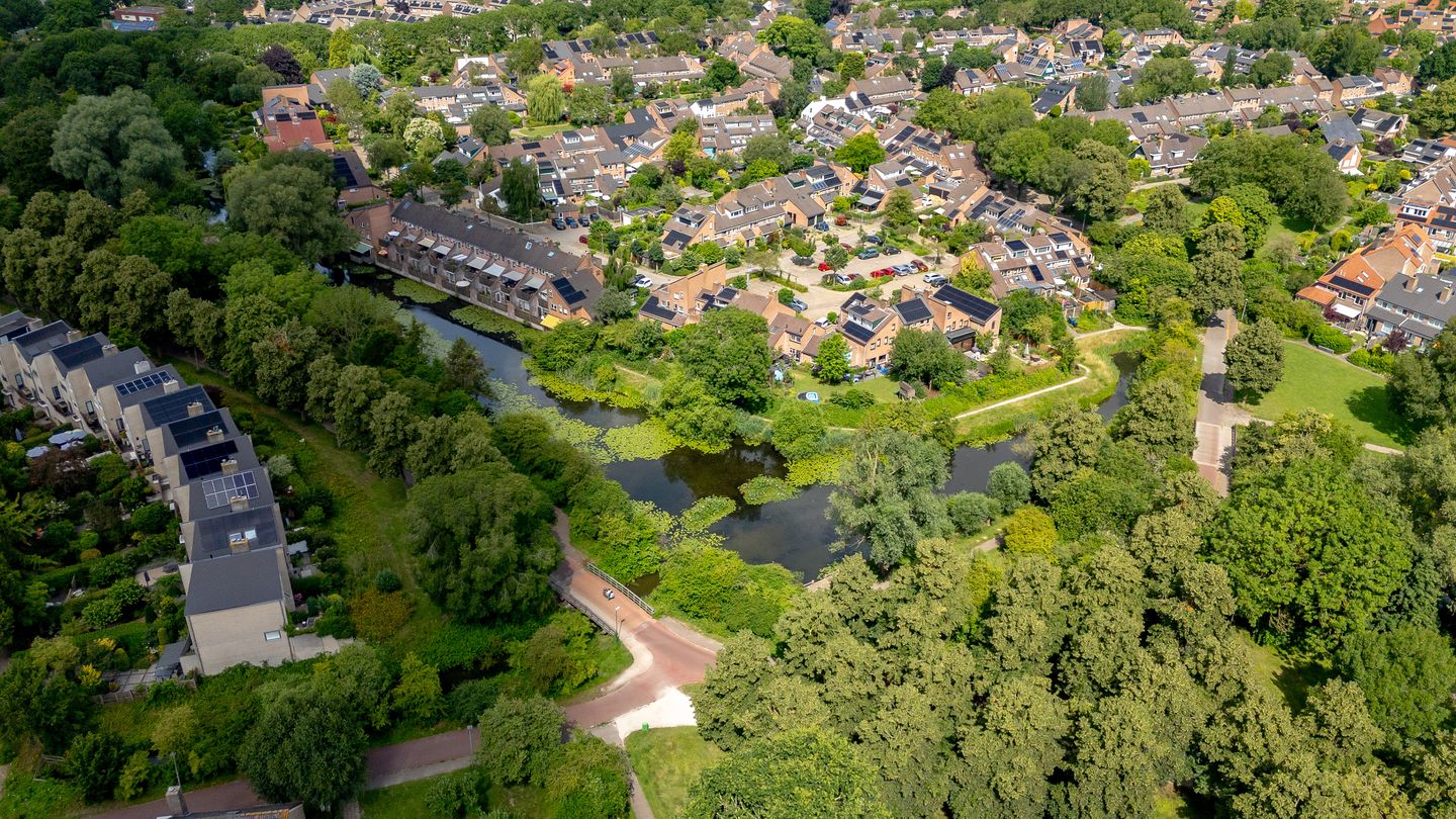 Foto 65 van Lupine-oord 11