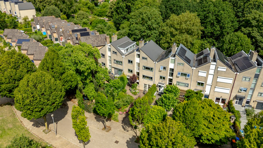 Foto 61 van Lupine-oord 11