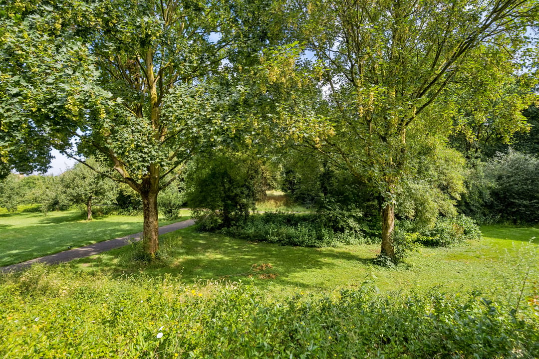 Foto 46 van Lupine-oord 11