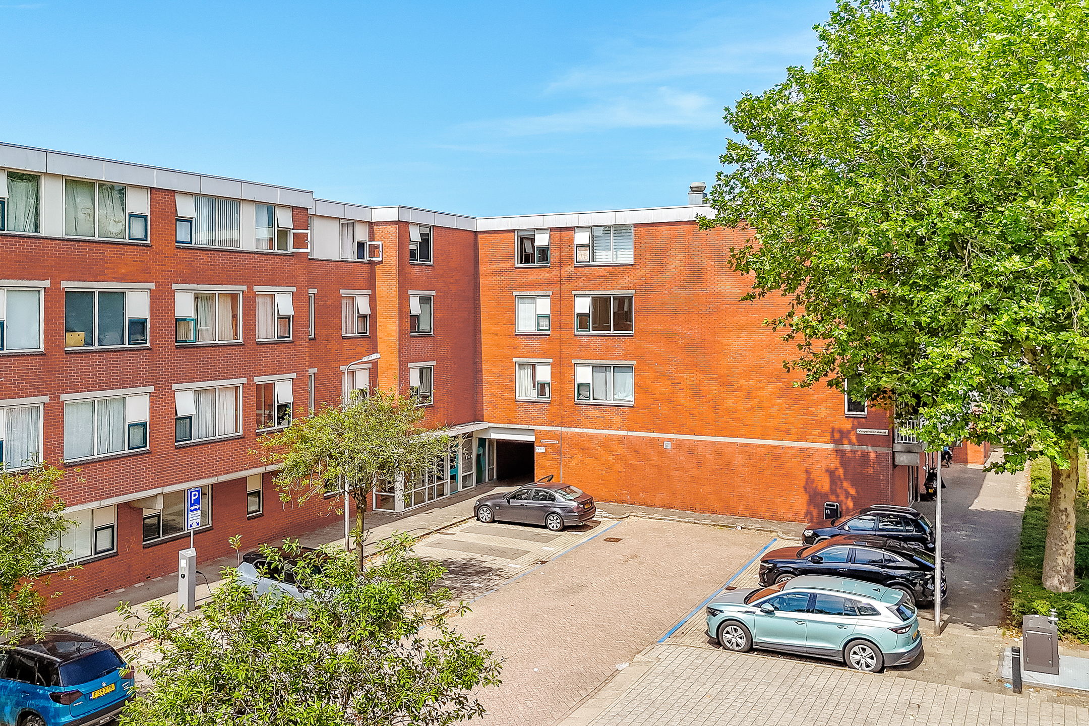 Photo 30 of Vingerhoedskruid 24