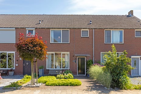 Cort van der Lindenstraat thumbnail