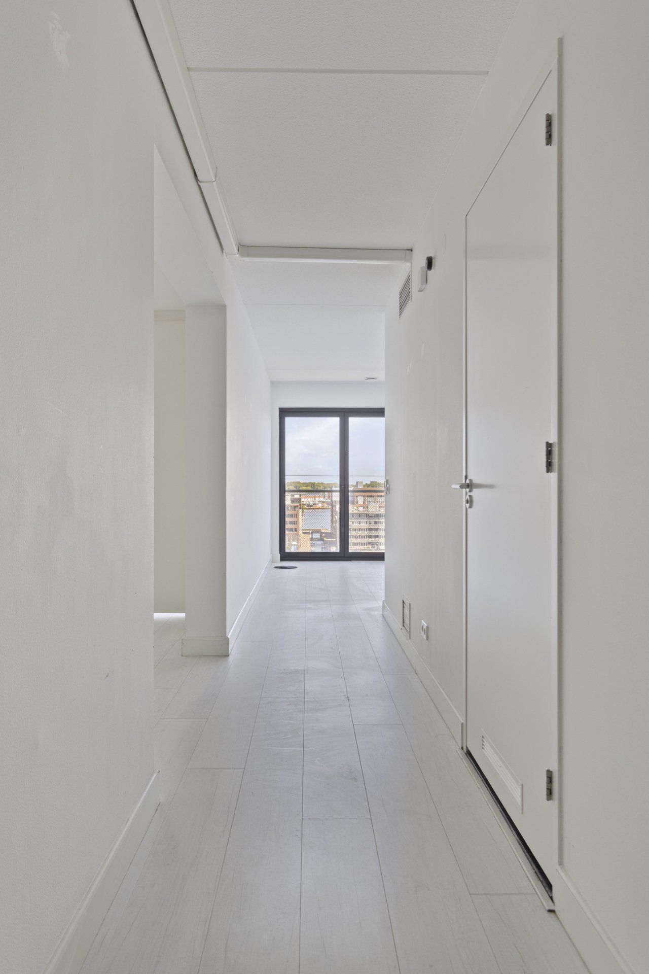 Photo 3 of Purperhoedenveem 110