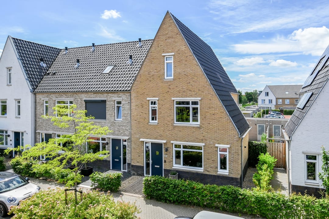 Photo 1 of Knobbelzwaan 7
