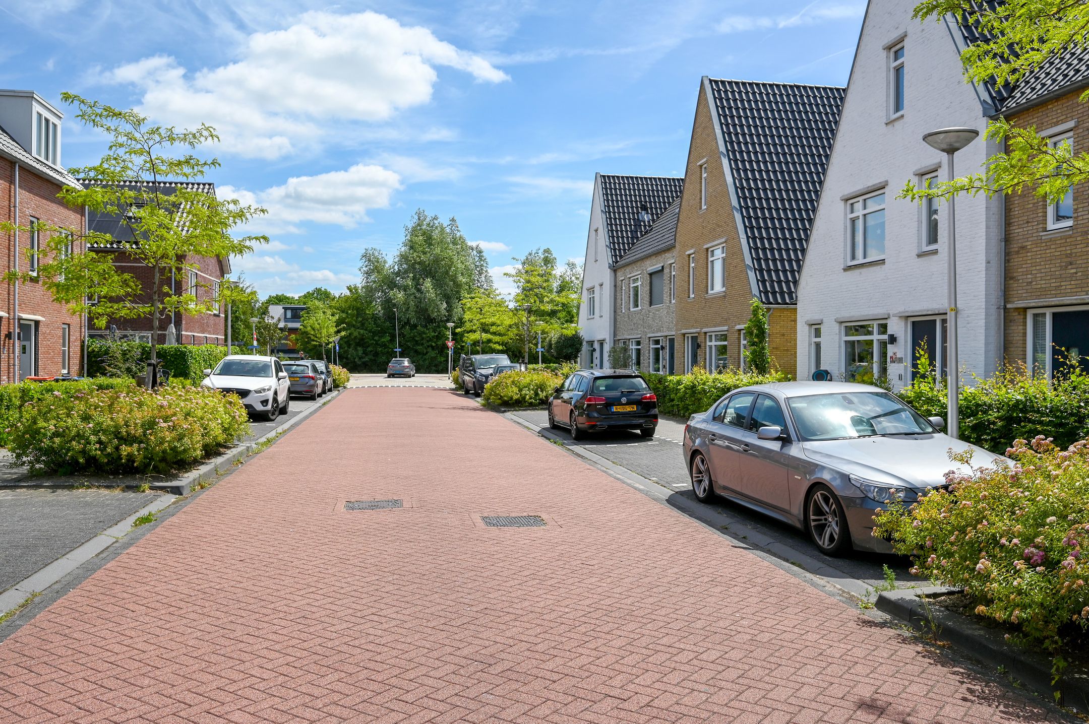 Photo 27 of Knobbelzwaan 7