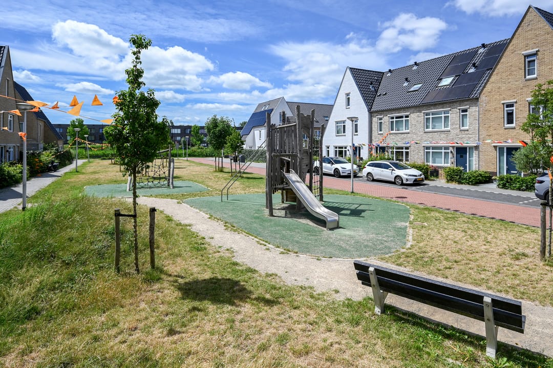 Photo 28 of Knobbelzwaan 7