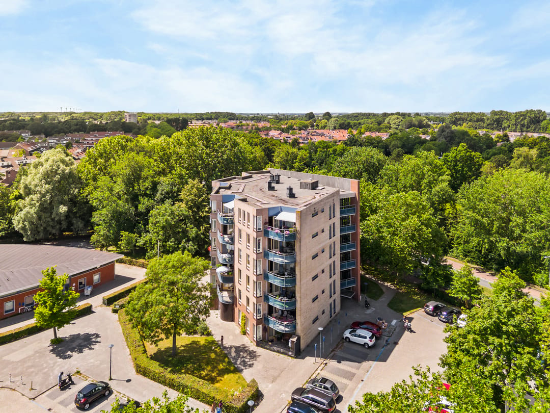 Foto 23 van Grote Beer 22
