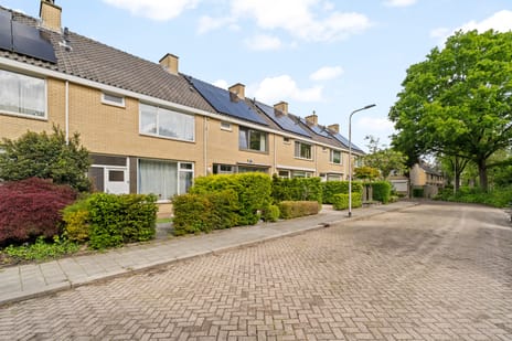 IJsselstraat thumbnail