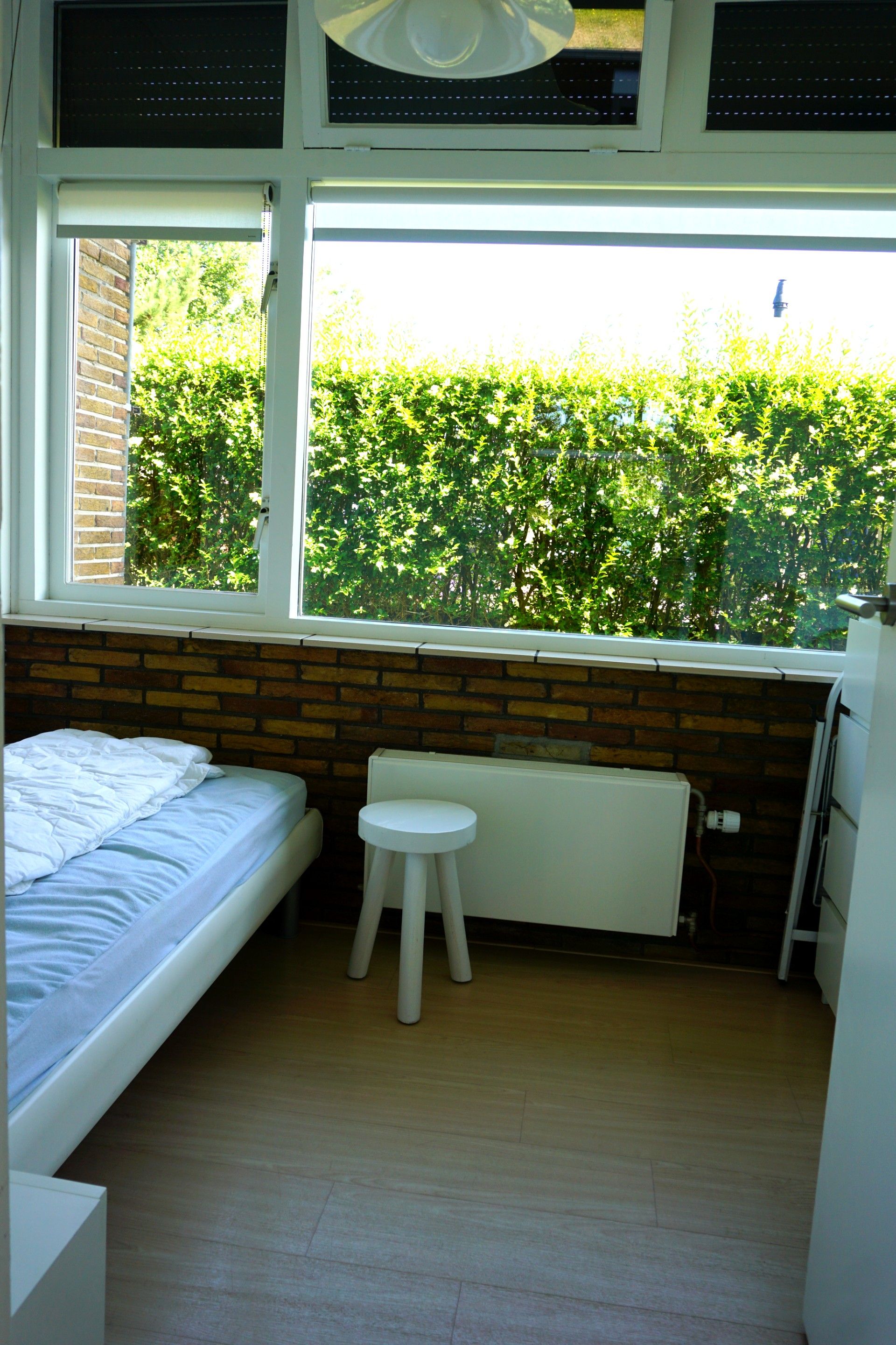Photo 12 of Wintergroen 16