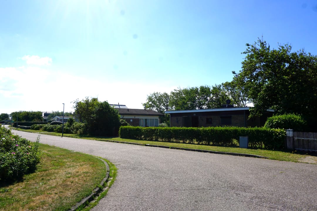 Photo 32 of Wintergroen 16
