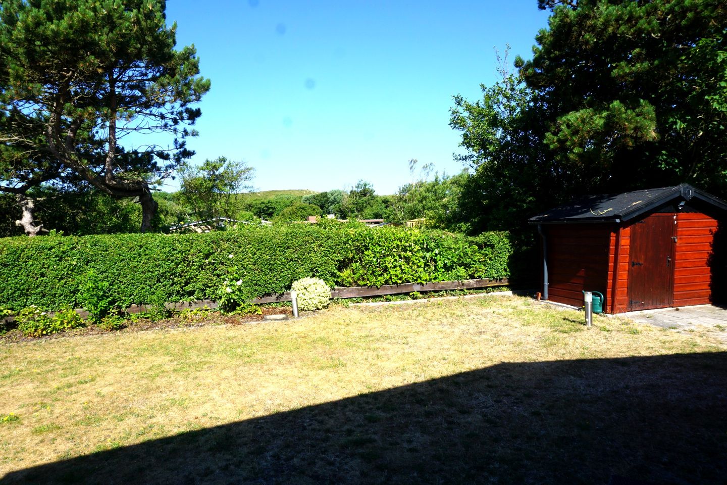 Photo 25 of Wintergroen 16