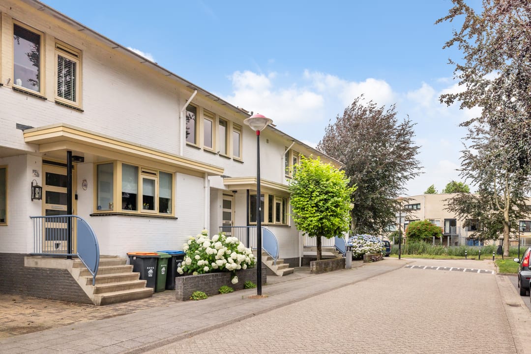 Photo 38 of De Rode Leeuw 31