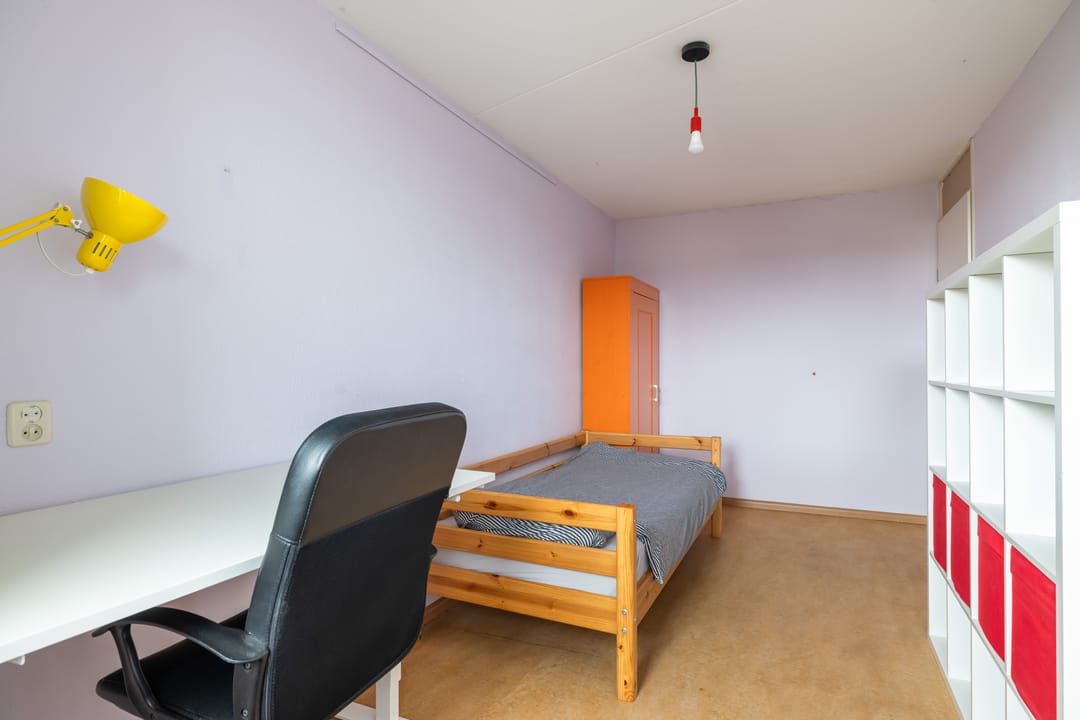 Photo 31 of De Rode Leeuw 31