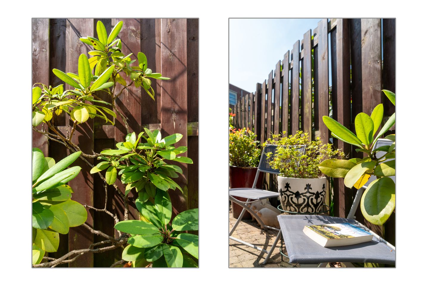 Photo 34 of Anjelierstraat 19