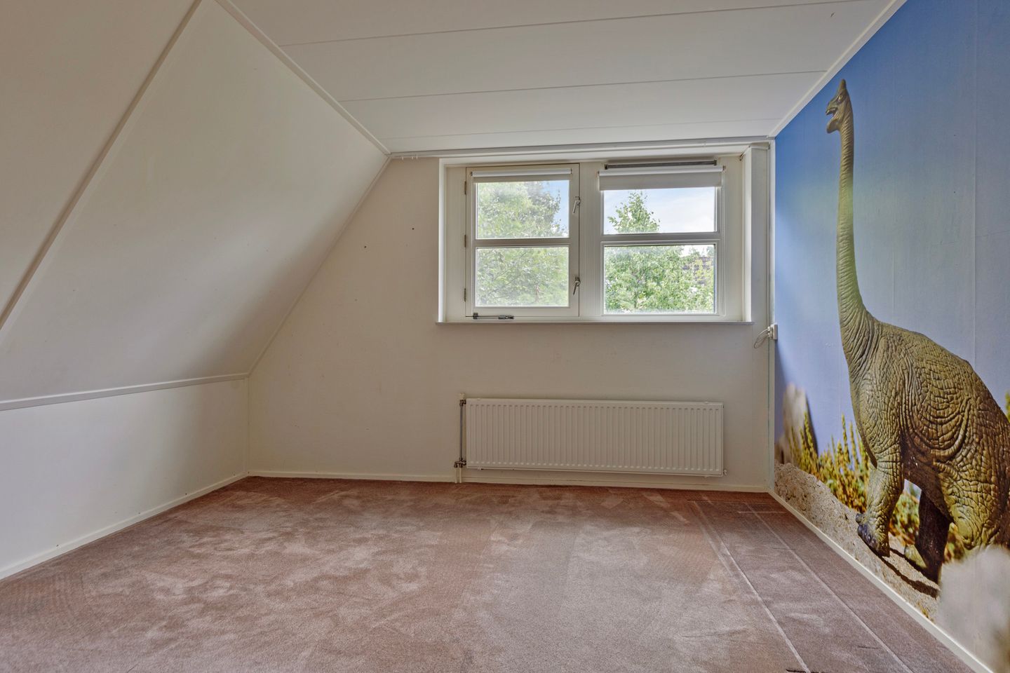 Photo 19 of Aloysiusstraat 9