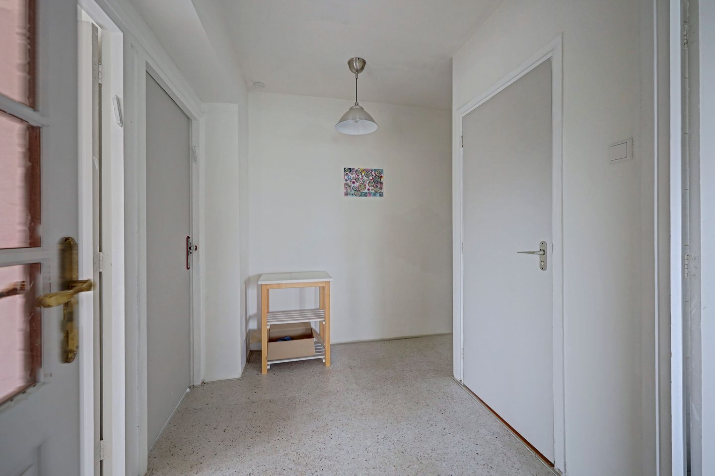 Foto 14 van Louis Raemaekersstraat 49