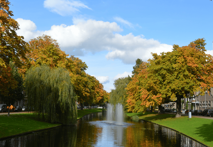 Foto 4 van Bergselaan 169-C