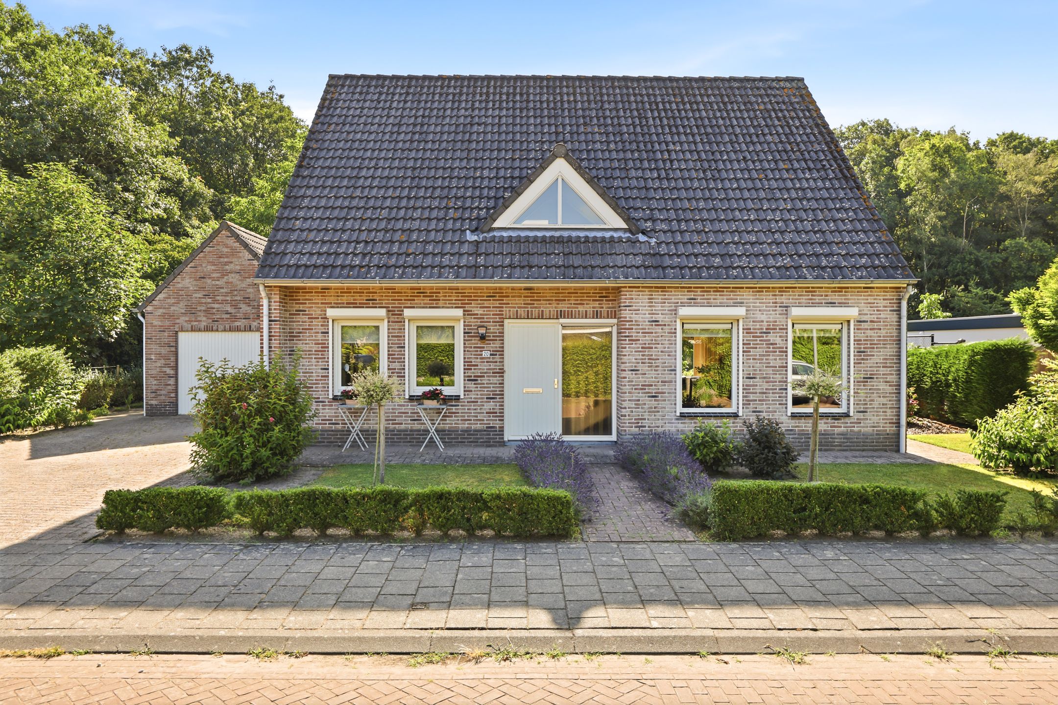 Koekoeksbloem 20 