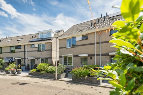 Clara Wichmannstraat thumbnail