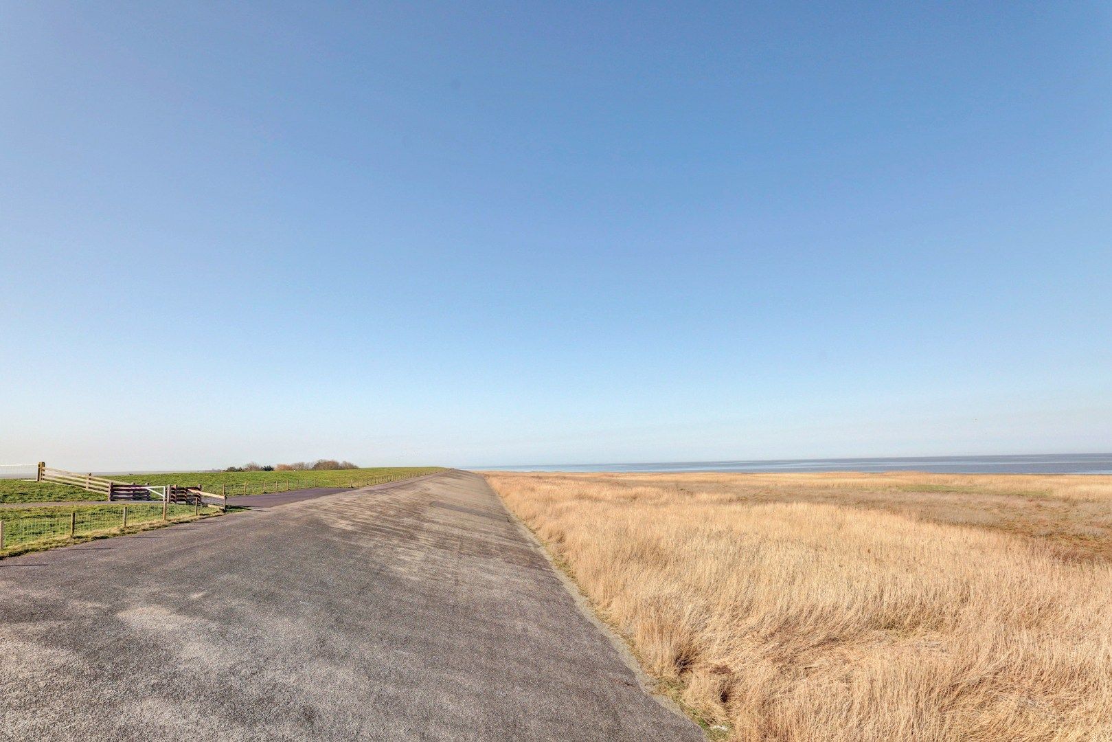 Photo 48 of Nieuwebildtdijk 420