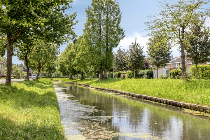 Foto 4 van Bereklauw 18