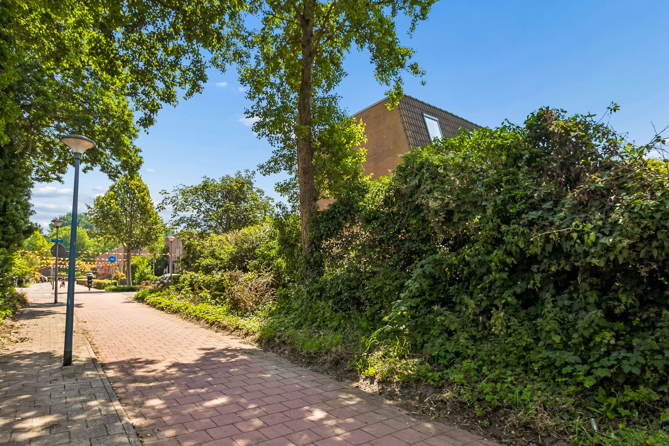 Photo 60 of Keiwierde 59