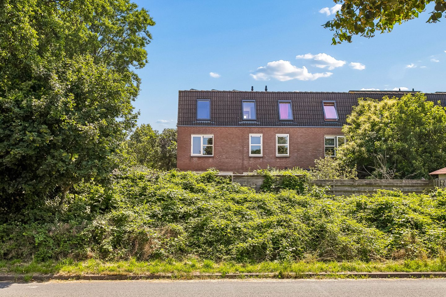 Photo 55 of Keiwierde 59