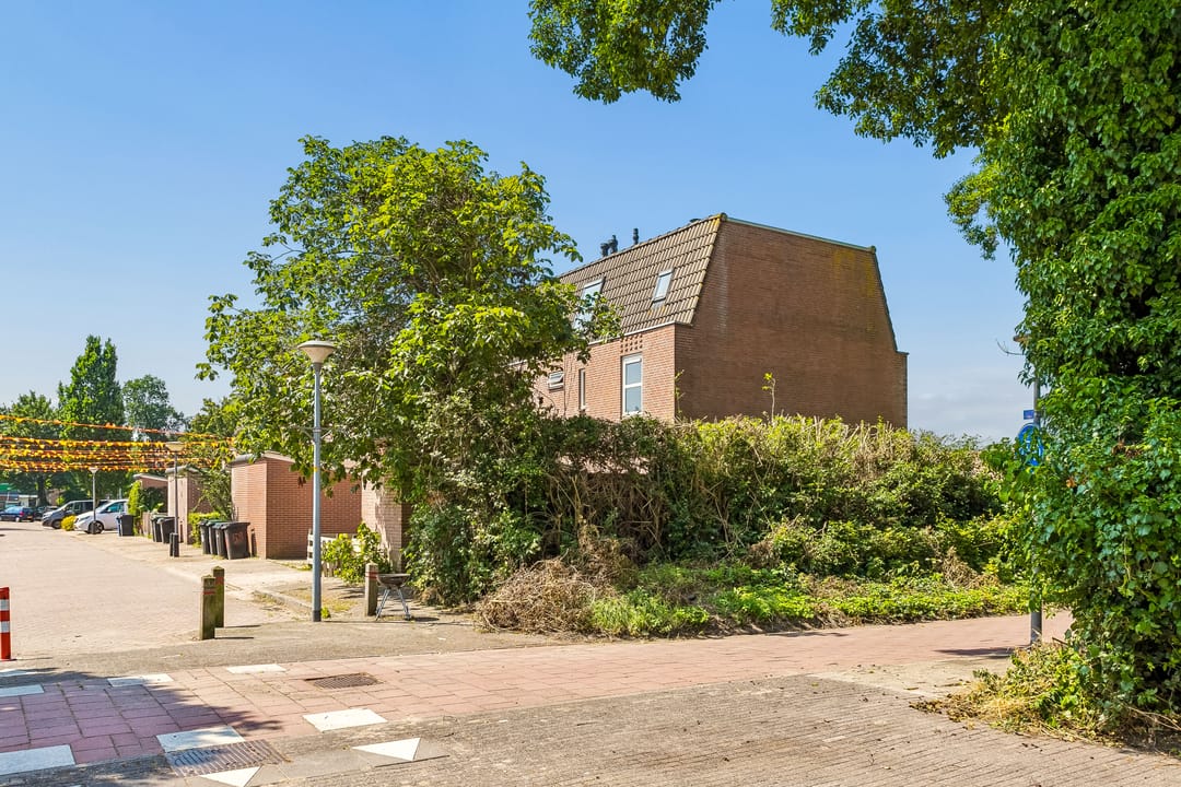 Photo 56 of Keiwierde 59