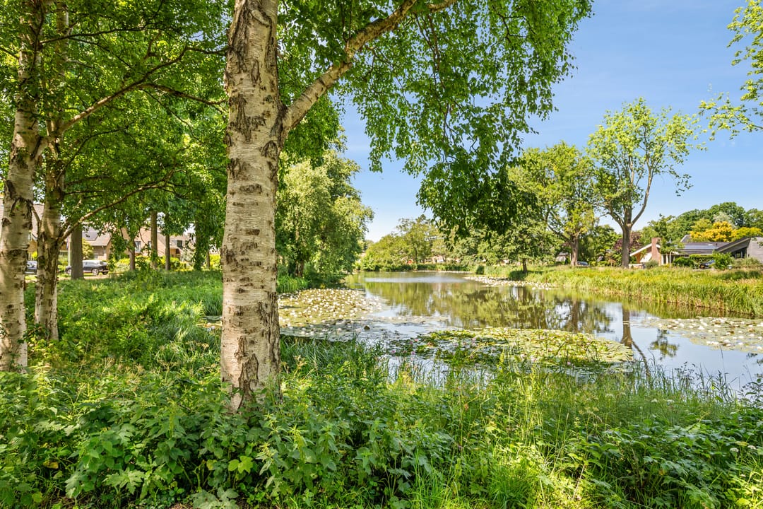 Photo 28 of Middelhof 9
