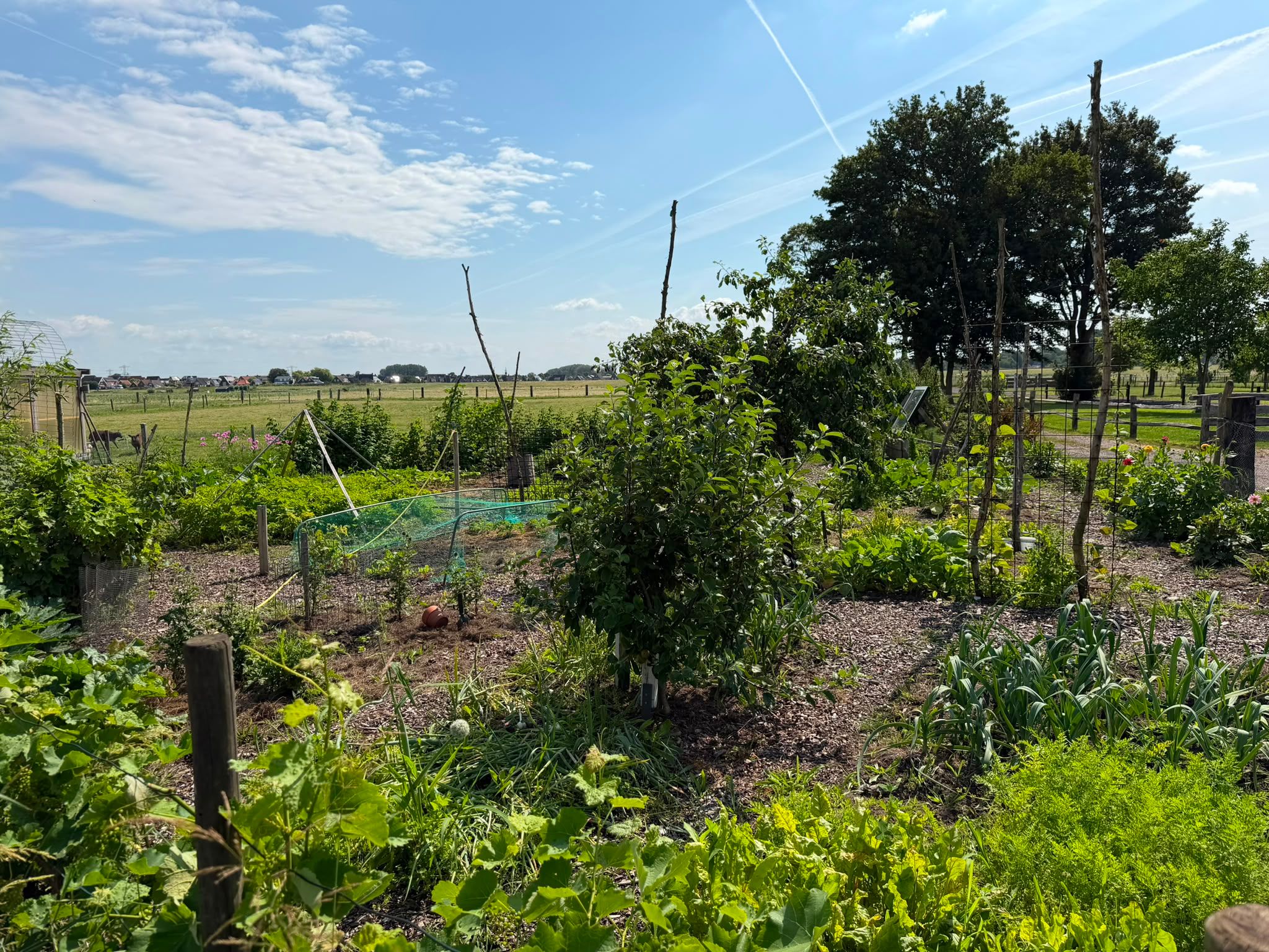Photo 9 of de Noord 52 GR