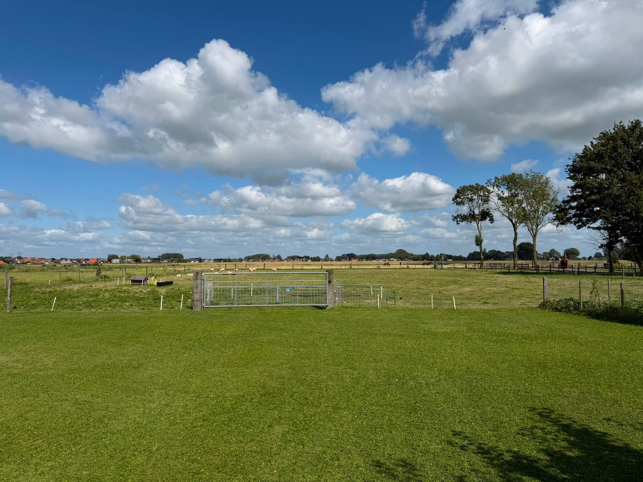 Photo 24 of de Noord 52 GR