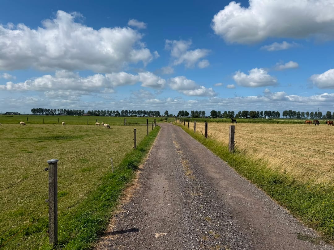 Photo 26 of de Noord 52 GR