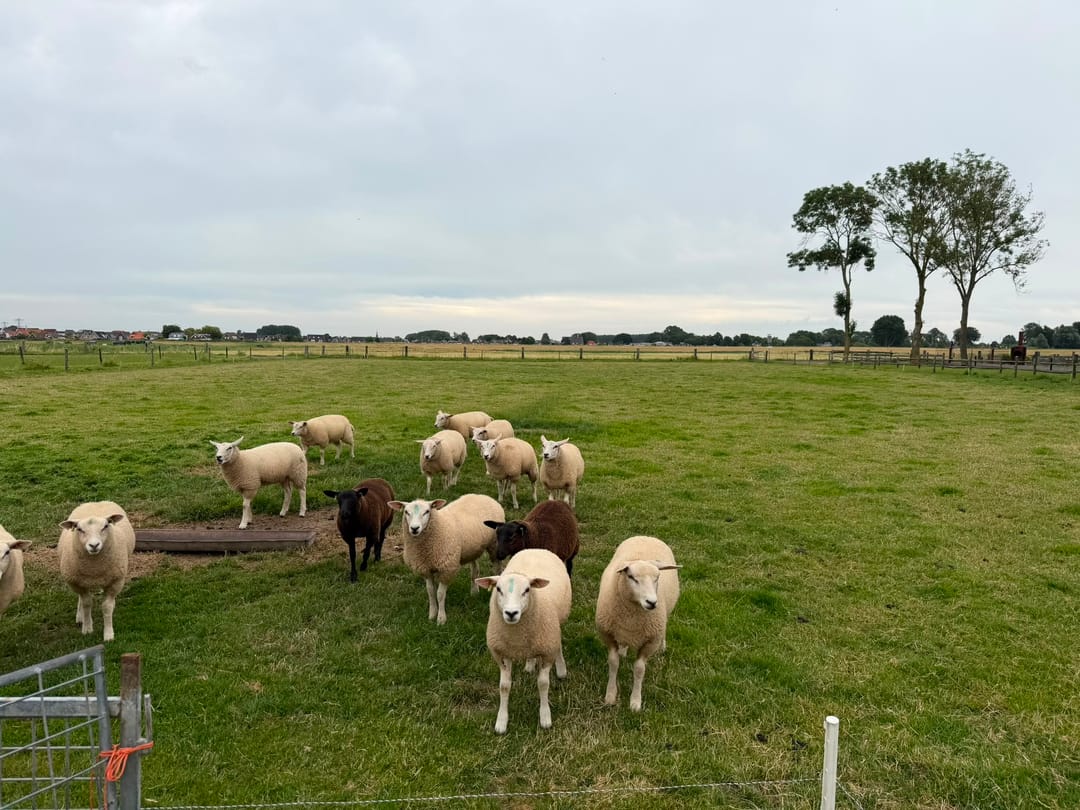 Photo 22 of de Noord 52 GR