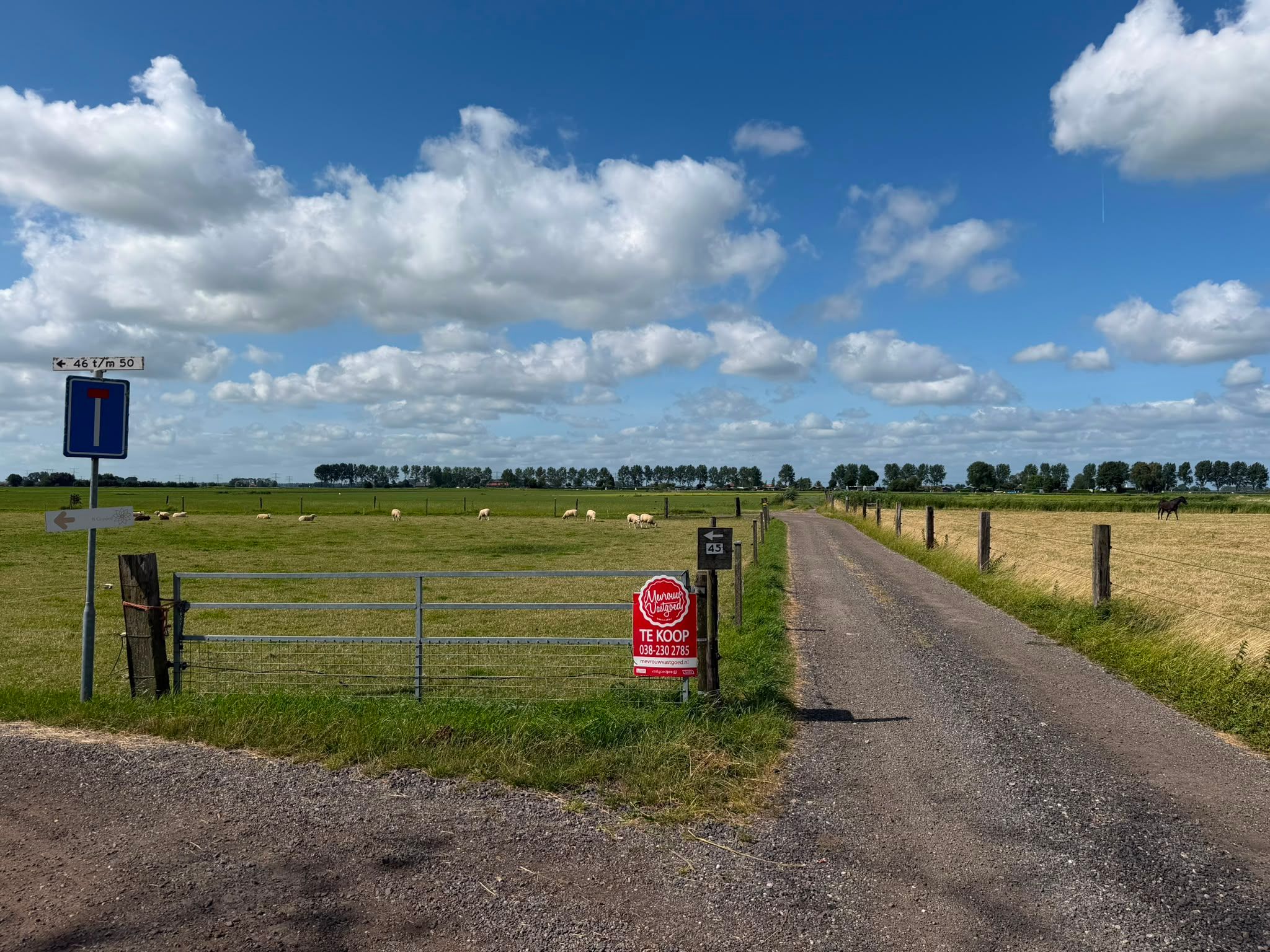 Photo 18 of de Noord 52 GR