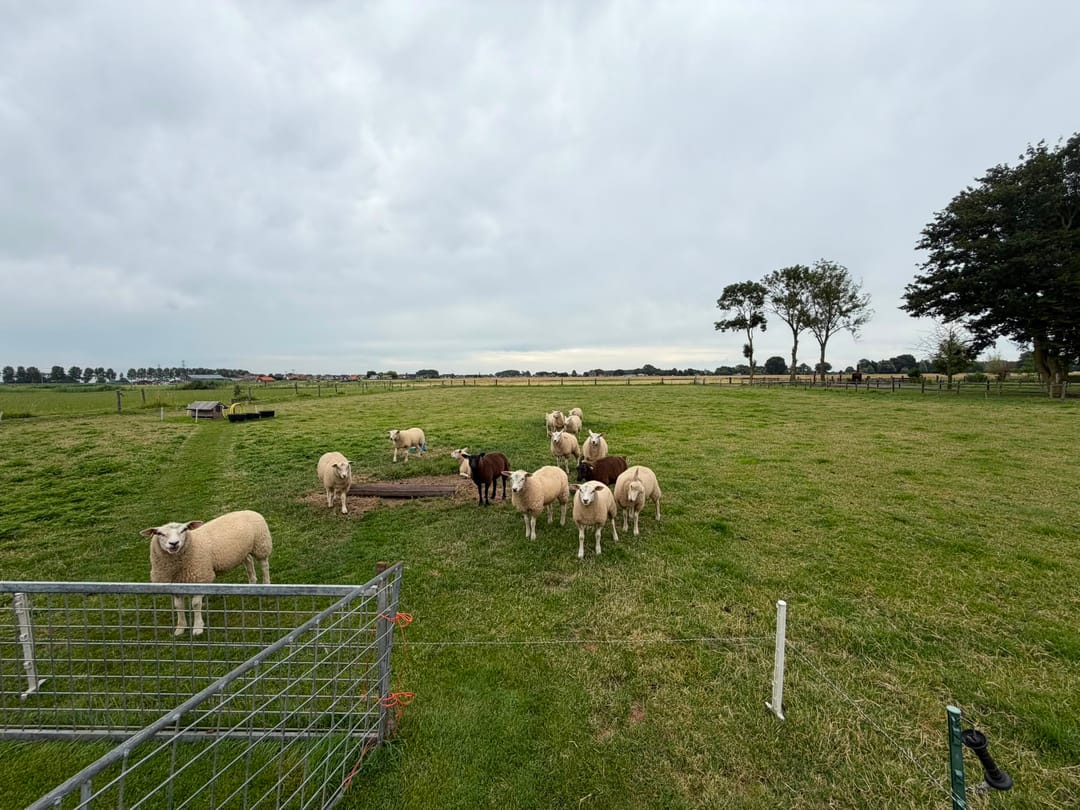 Photo 23 of de Noord 52 GR