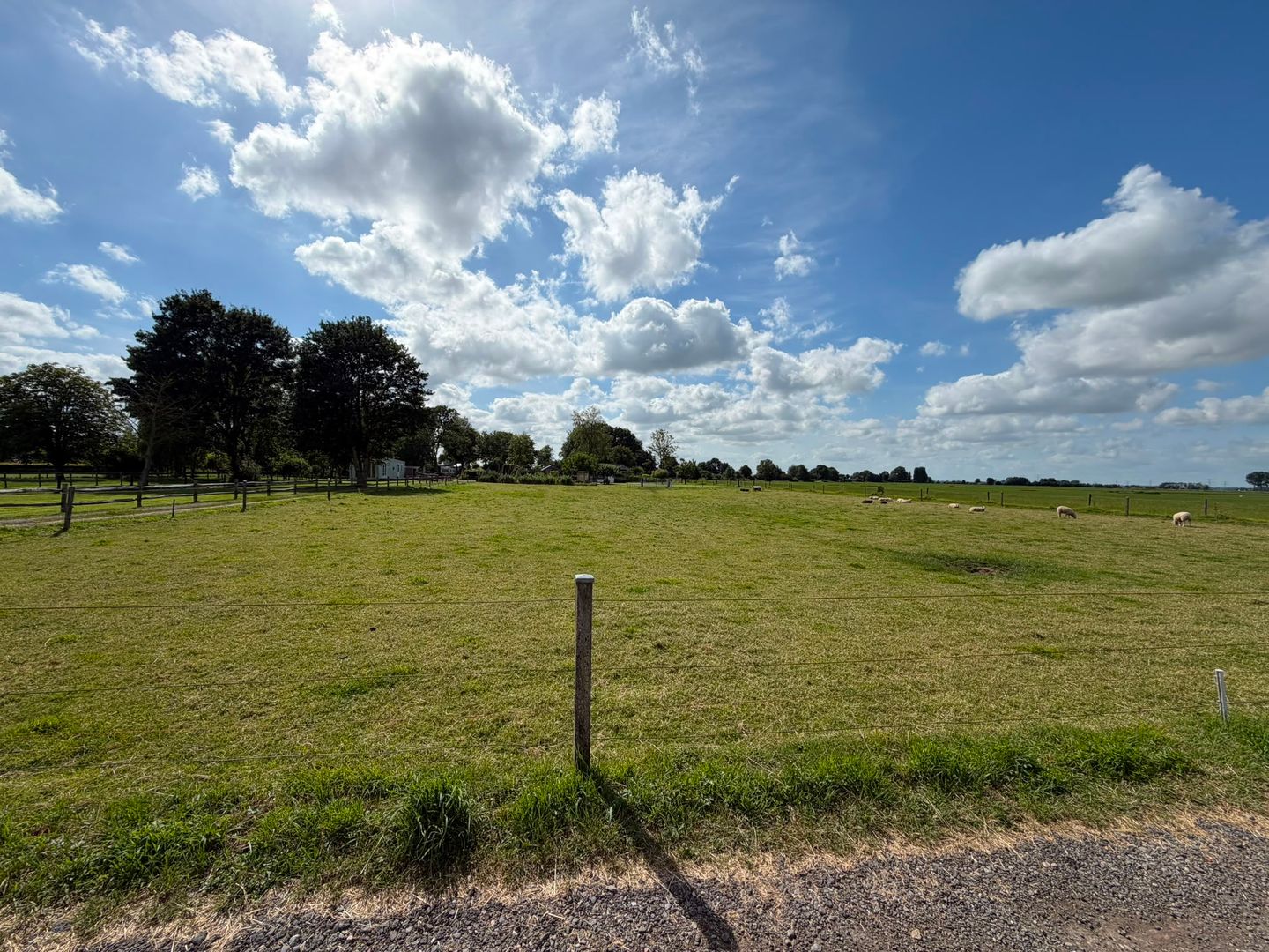 Photo 20 of de Noord 52 GR