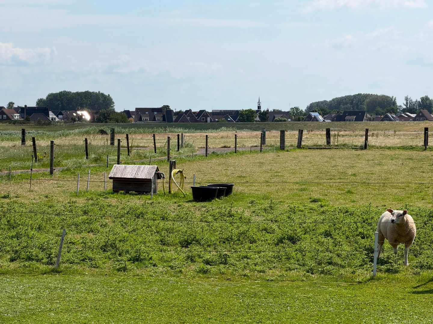 Photo 29 of de Noord 52 GR